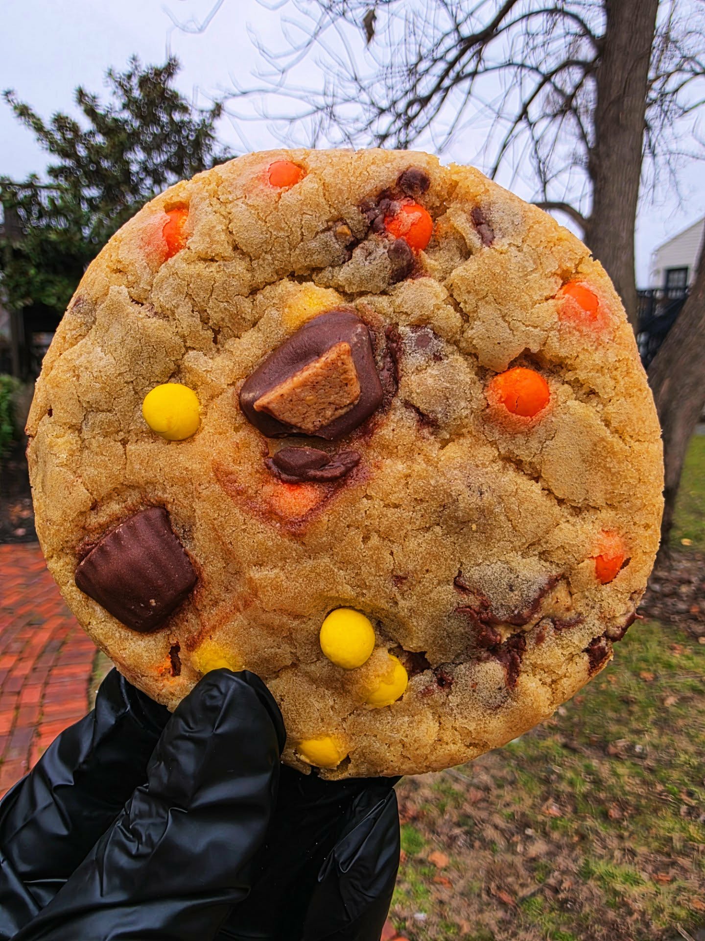 PB-Cup-Cheesecake-Filled-Cookie